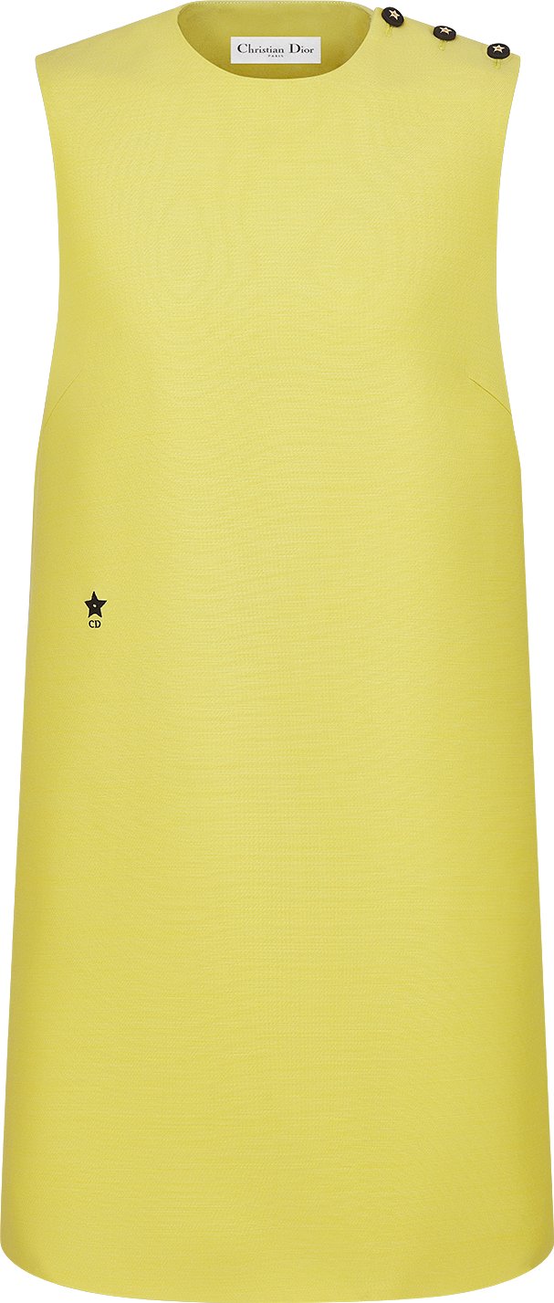Dior dress online shop deals