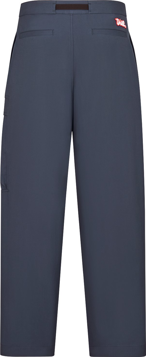 DIOR AND KAWS Cargo Pants Back view