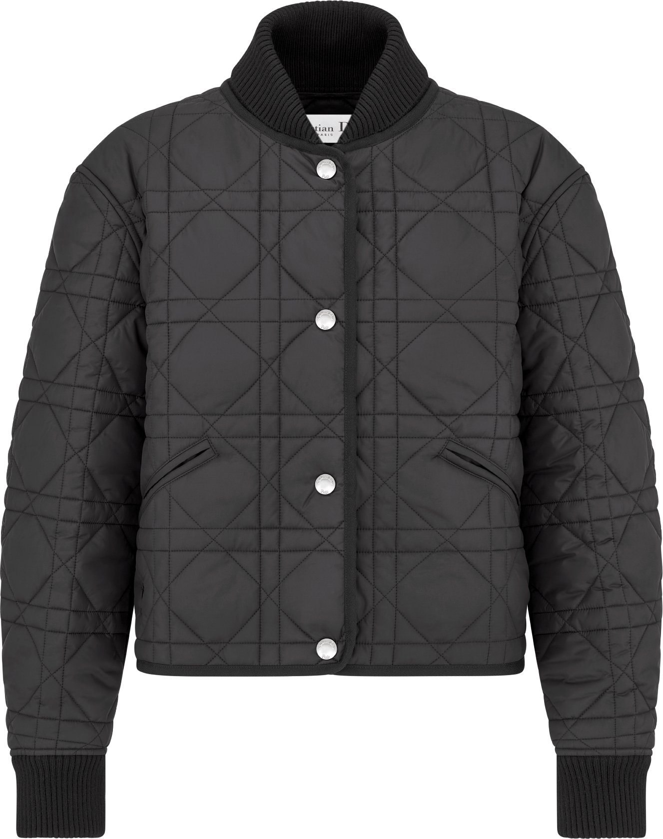 Macrocannage Bomber Jacket Front view Front view