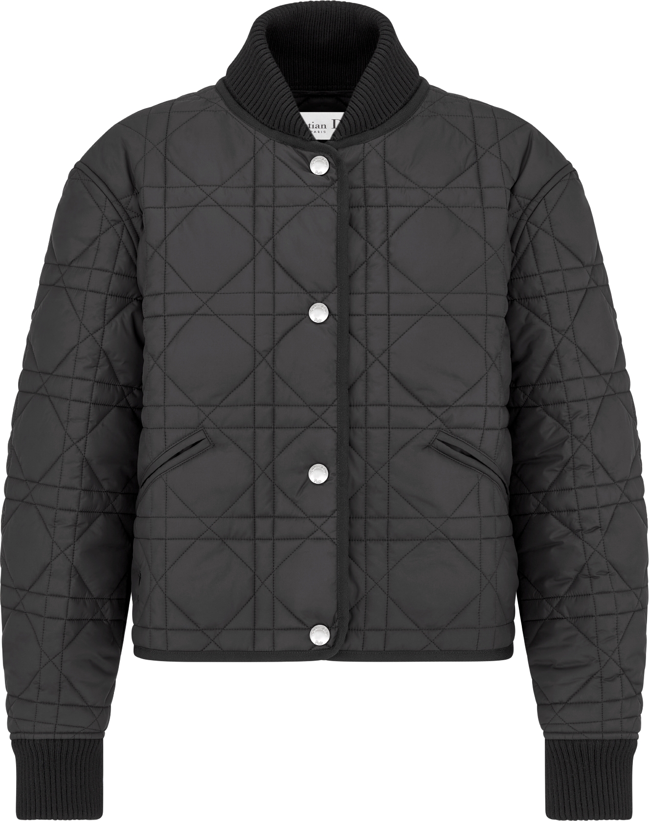 Macrocannage Bomber Jacket Black Quilted Technical Taffeta DIOR