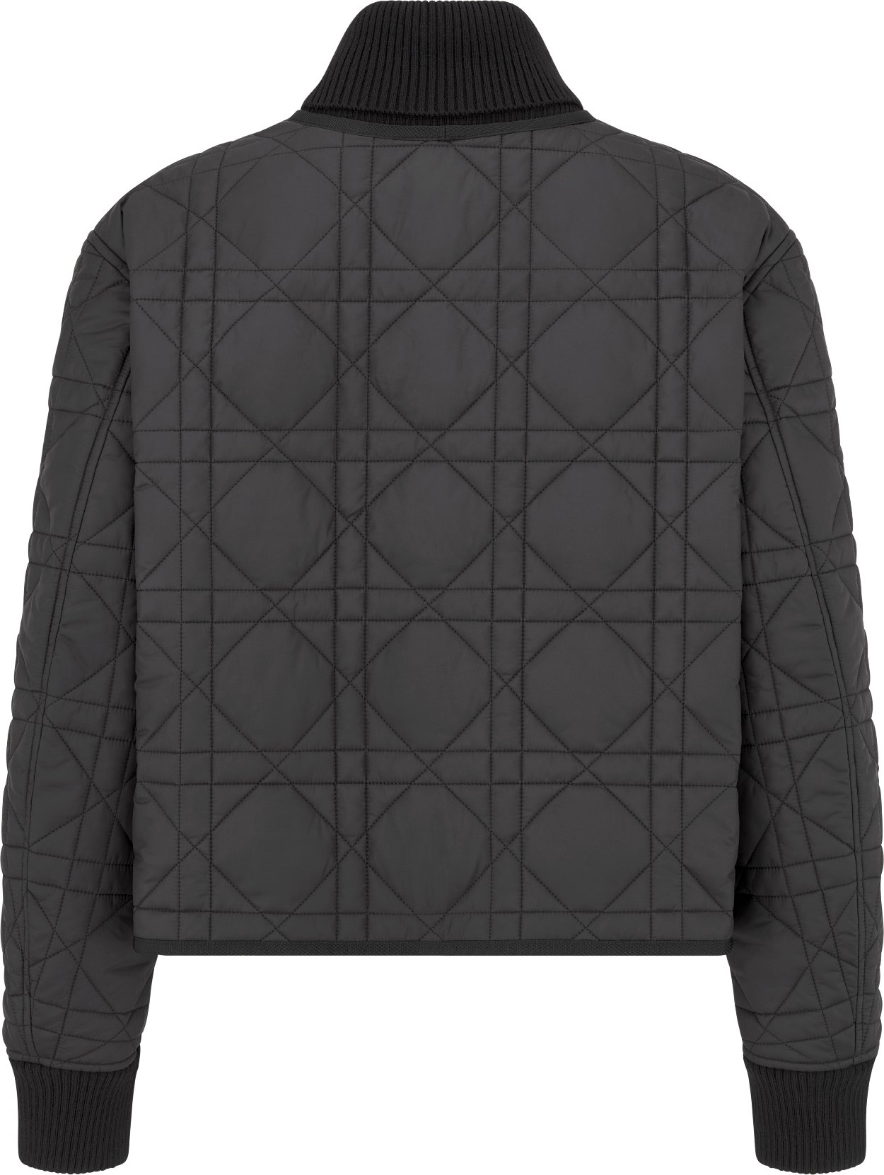 Macrocannage Bomber Jacket Black Quilted Technical Taffeta DIOR