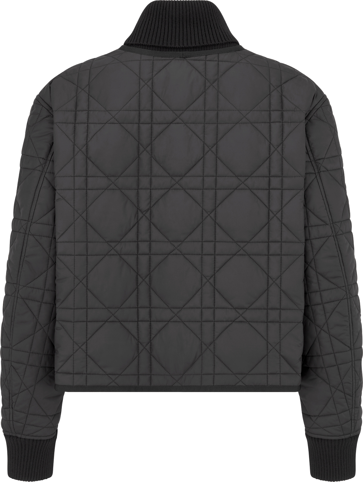 Christian dior bomber jacket online