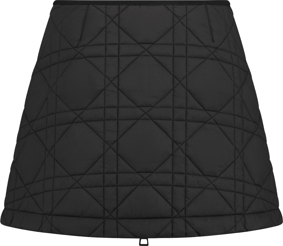 Macrocannage Miniskirt Back view