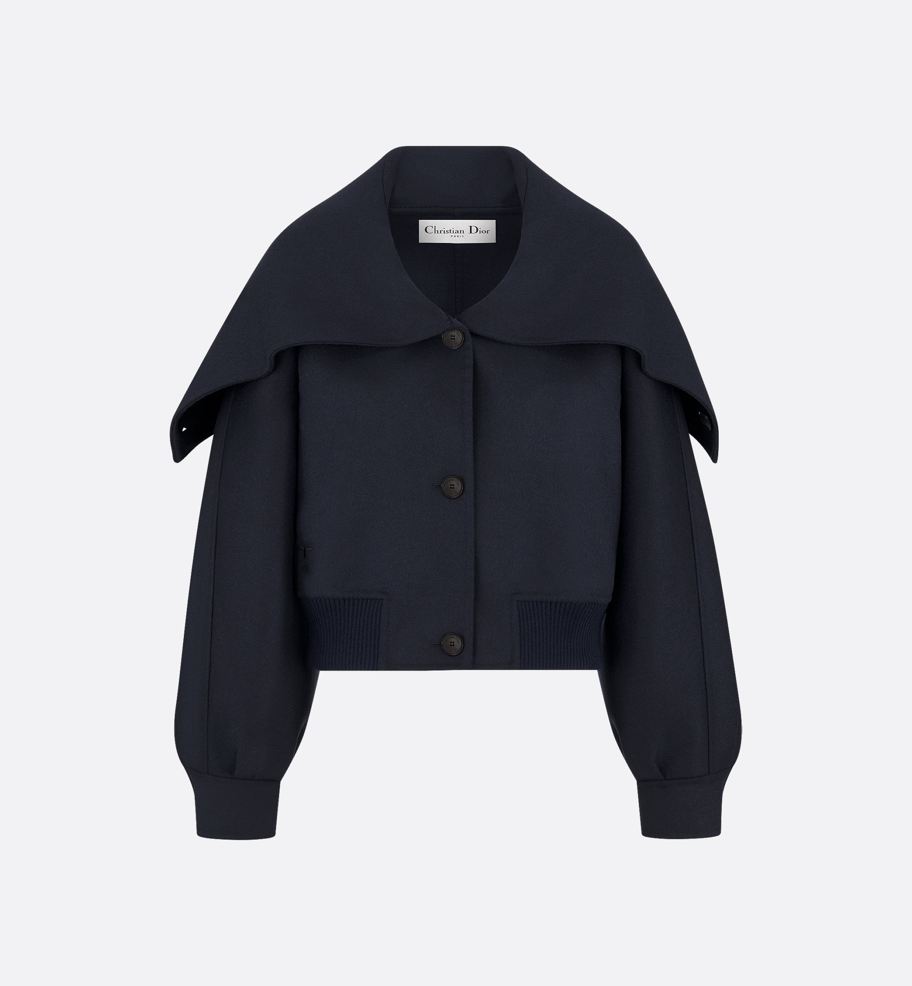 DIOR 忍ばせる (ディオール) 21AW×PETER DOIG BACK LOGO DIOR 忍ばせる (ディオール) 21AW×PETER DOIG BACK LOGO