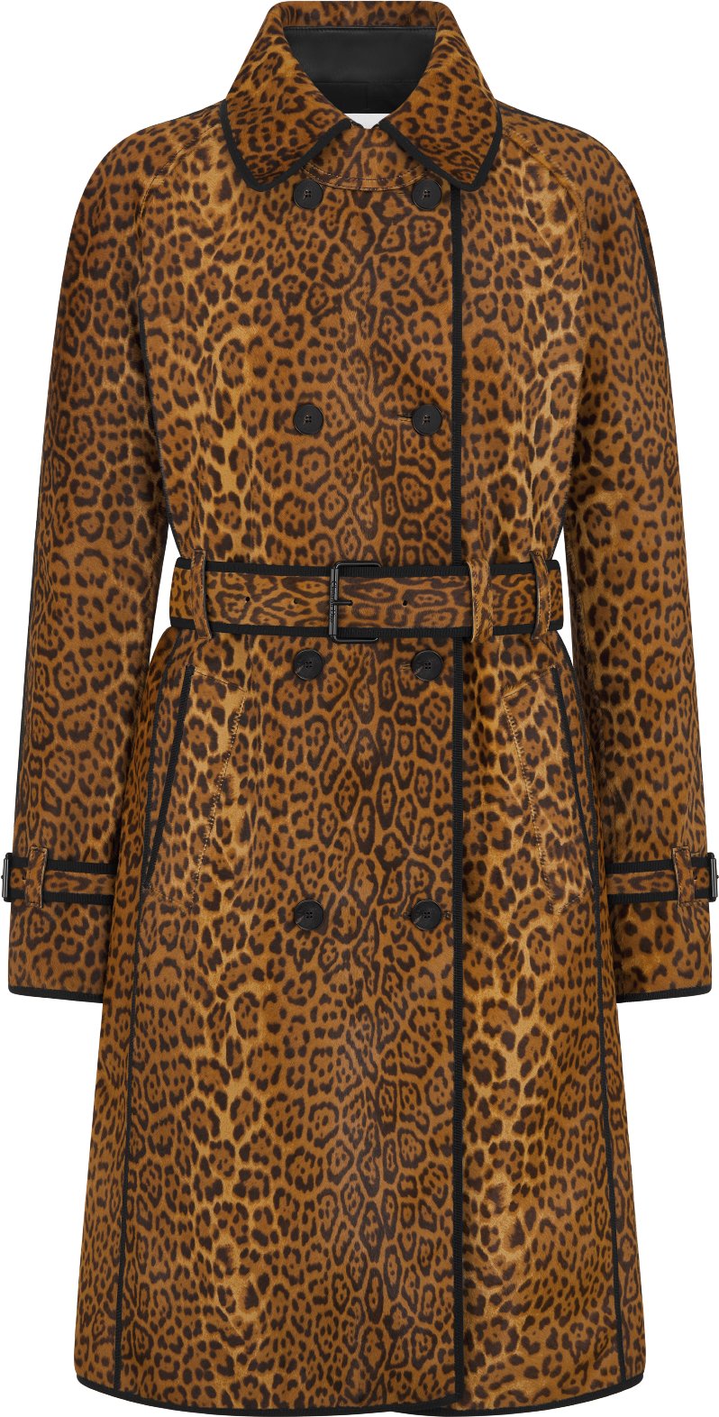 Trench Coat