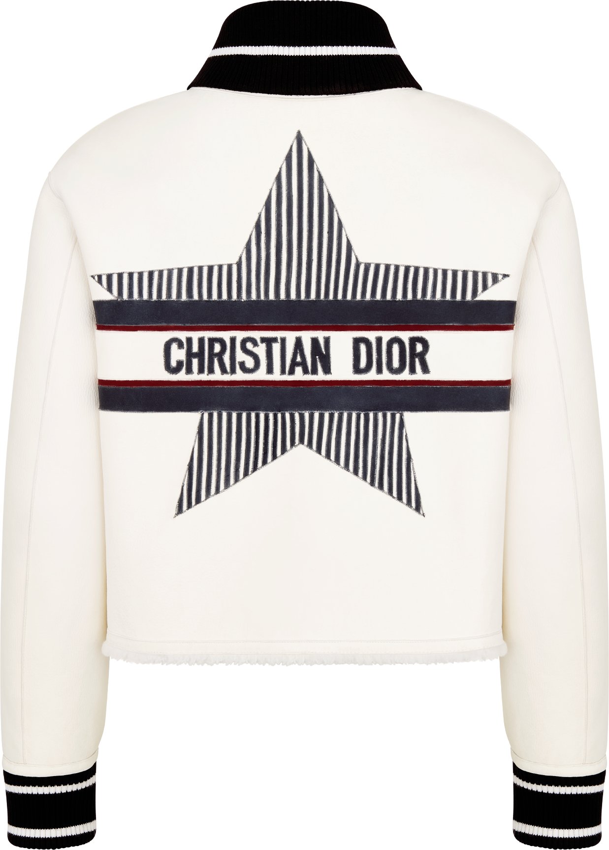 DiorAlps Reversible Bomber Jacket Back view