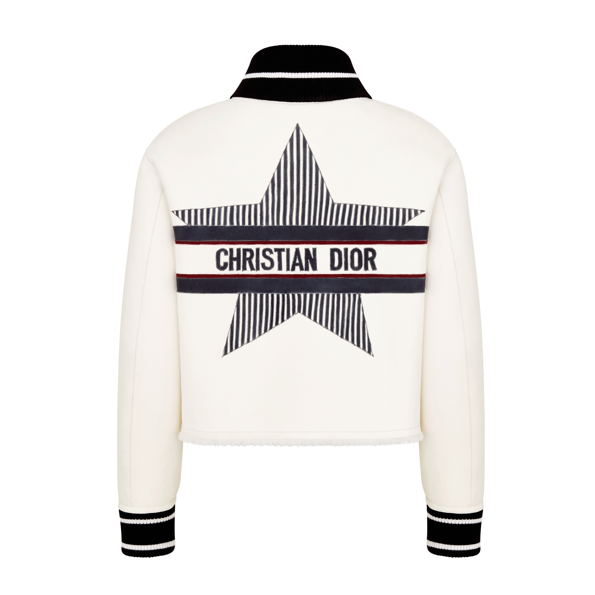 DiorAlps Reversible Bomber Jacket Beige Lambskin Shearling with Three-Tone Dior Star Motif E08
