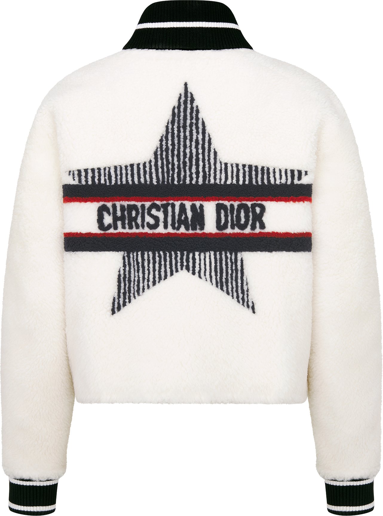 DiorAlps Reversible Bomber Jacket Detailed view