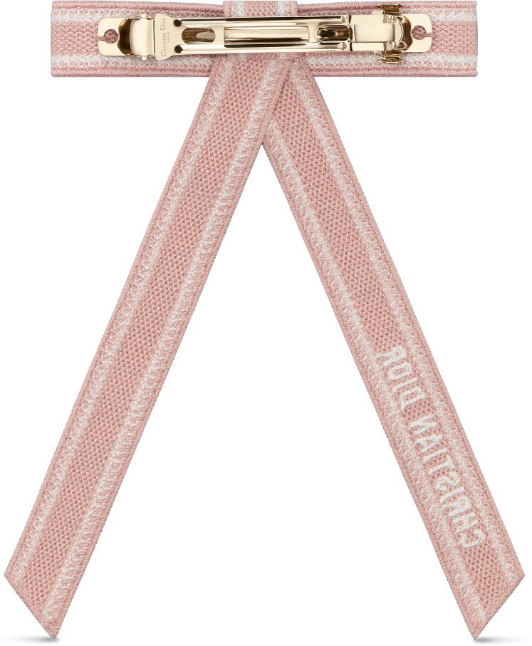 Christian Dior Embroidered Dior Twist Bow Back view