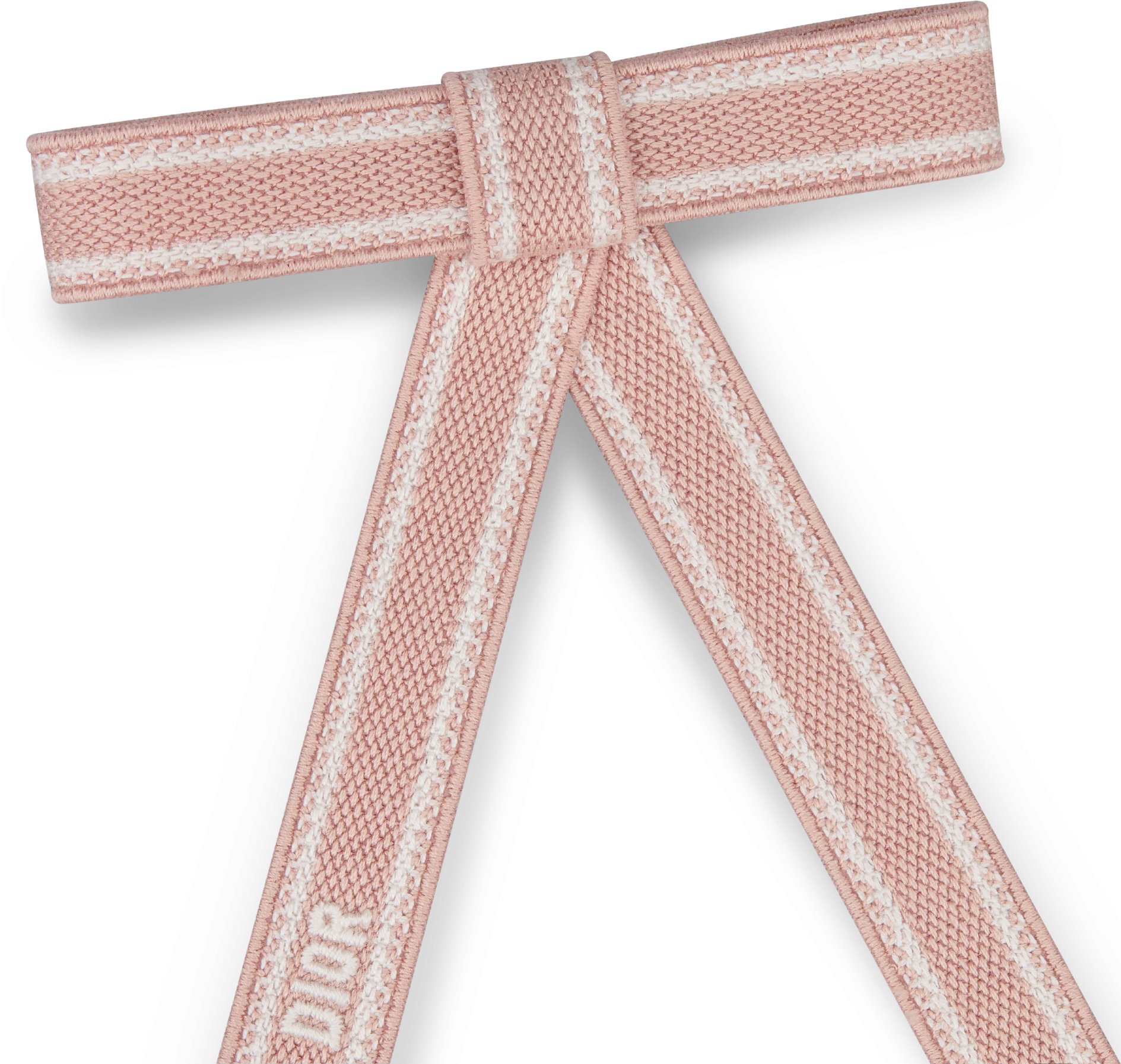 Christian Dior Embroidered Dior Twist Bow Detailed view