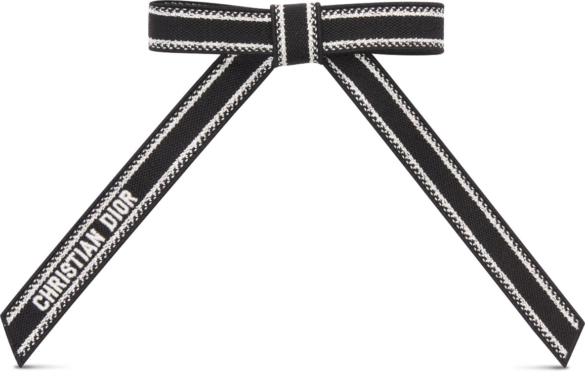 Christian Dior Embroidered Dior Twist Bow Front view