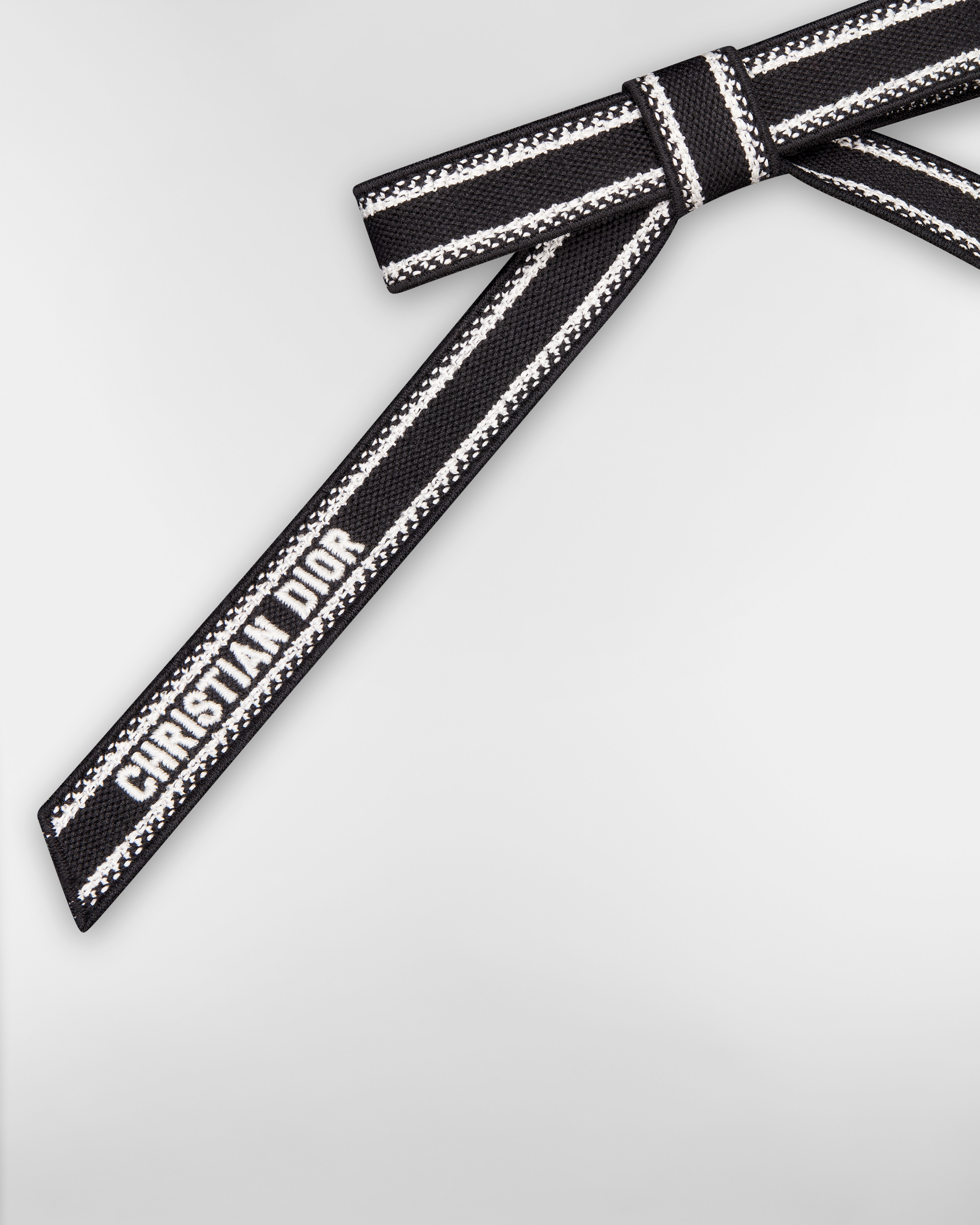 Christian Dior Embroidered Dior Twist Bow