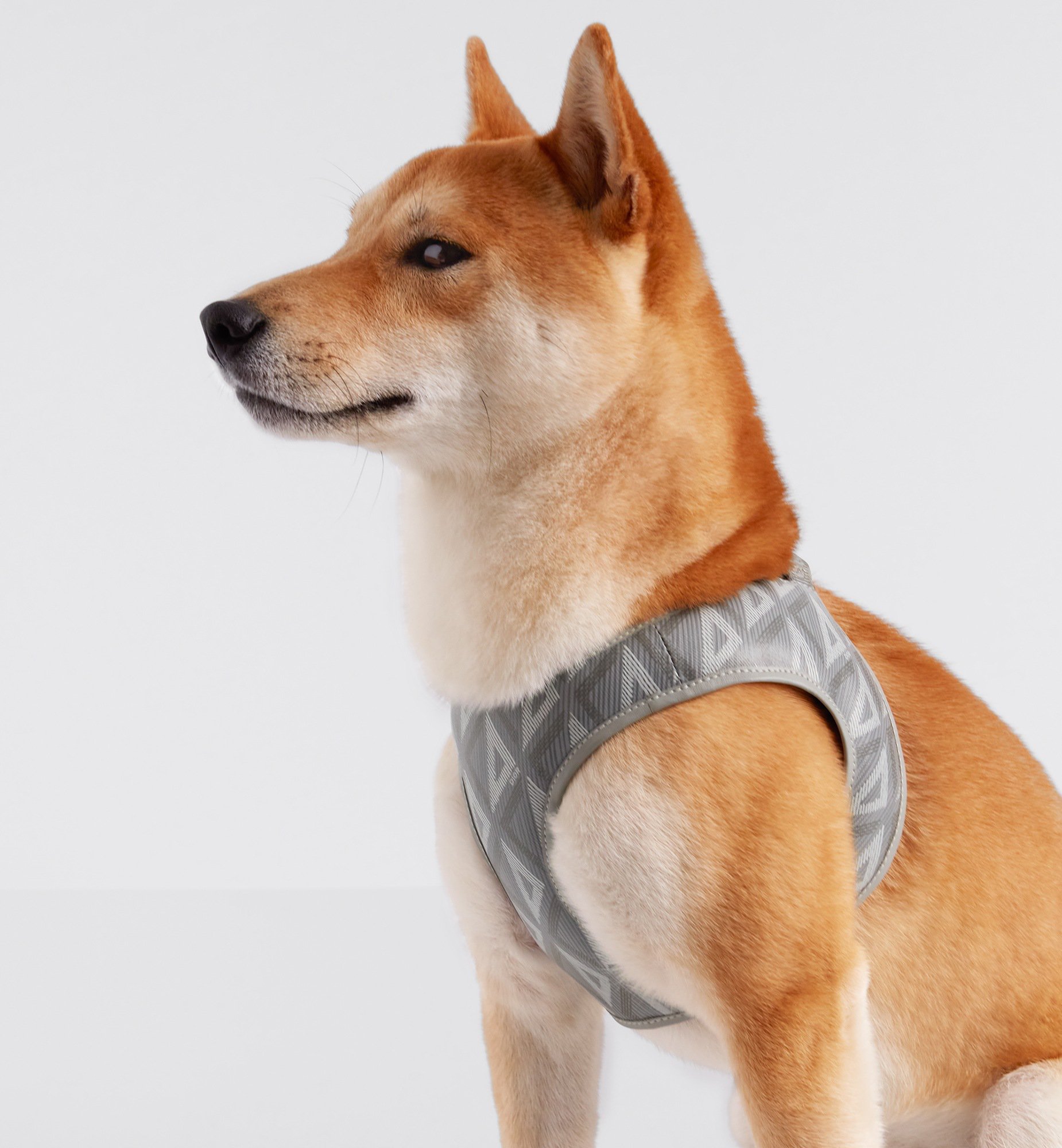 Dior harness vest new arrivals