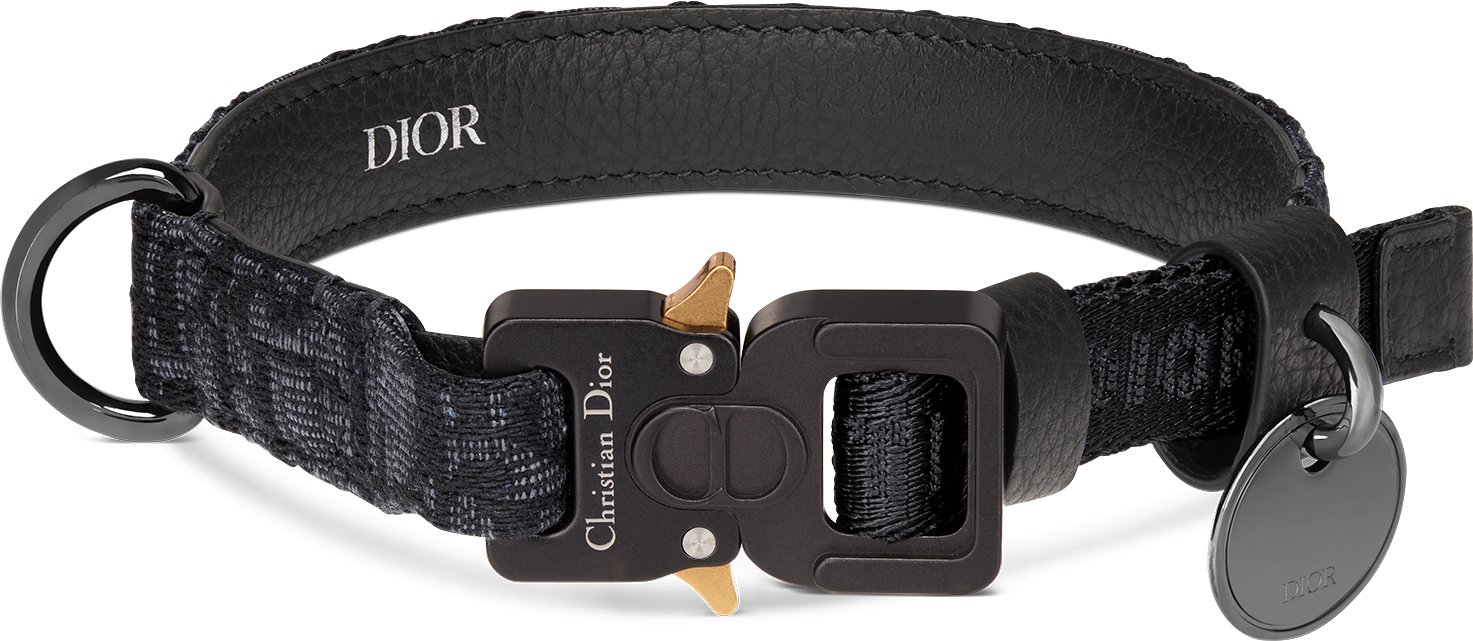 Pet Collar Front view