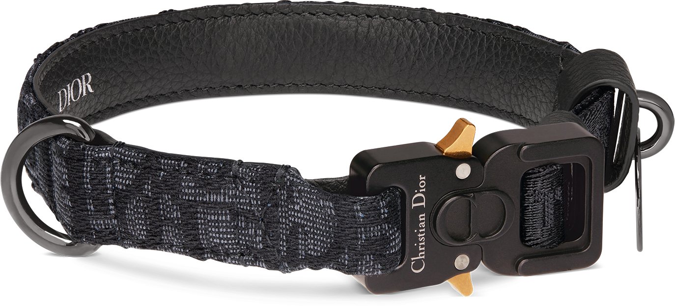 Pet Collar Three quarter closed view
