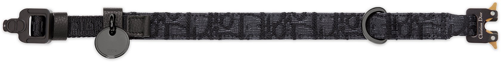 Pet Collar Unfolded view