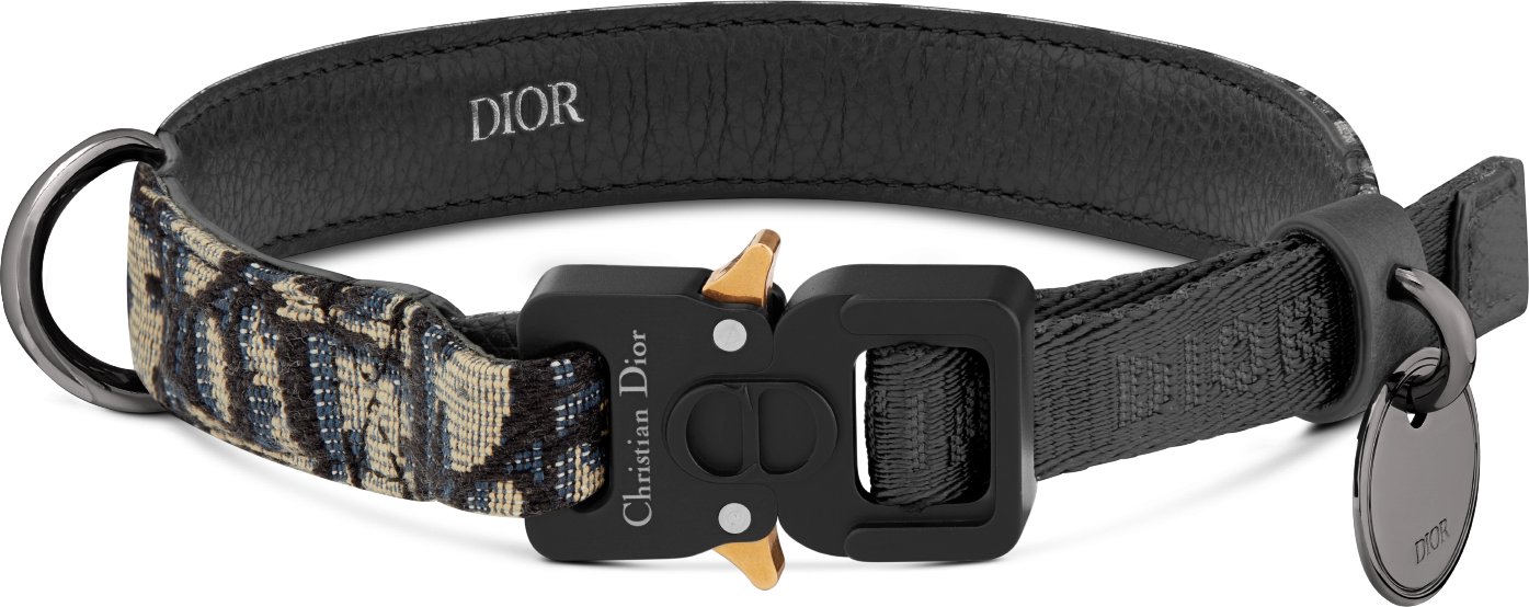 Pet Collar Front view
