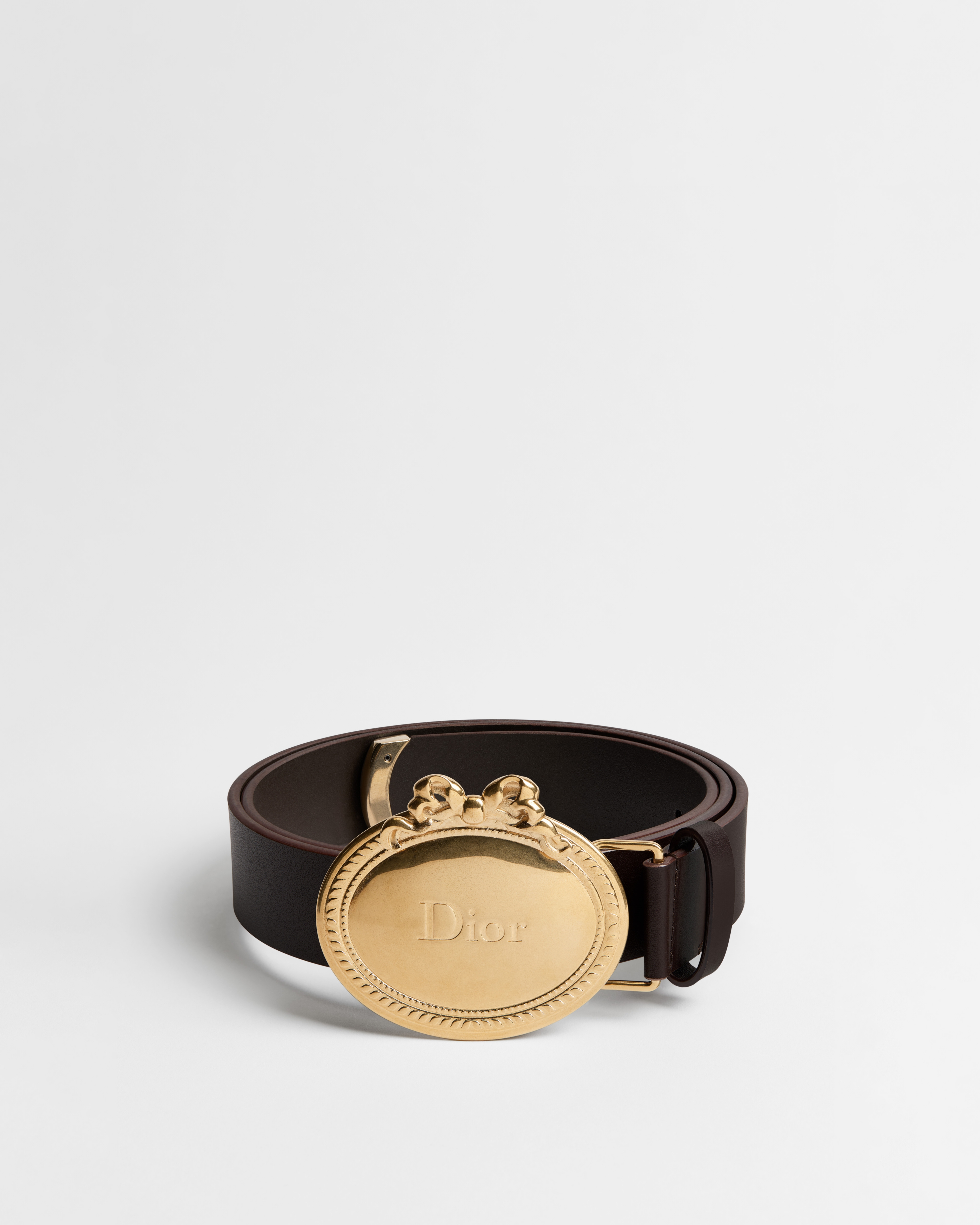 Dior Médaillon Belt