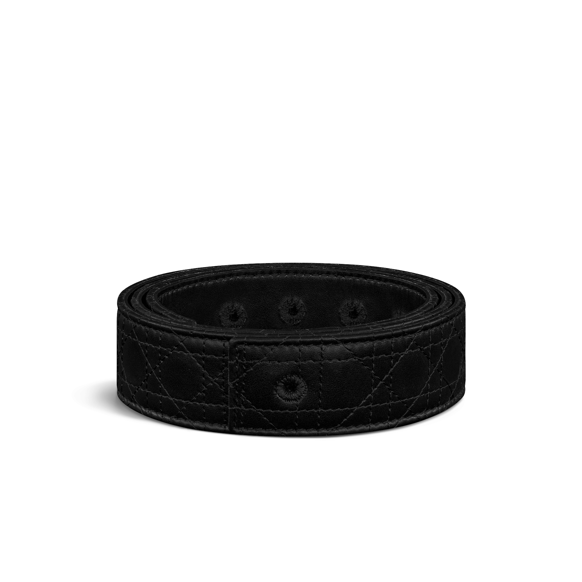 Reversible Belt Strap
