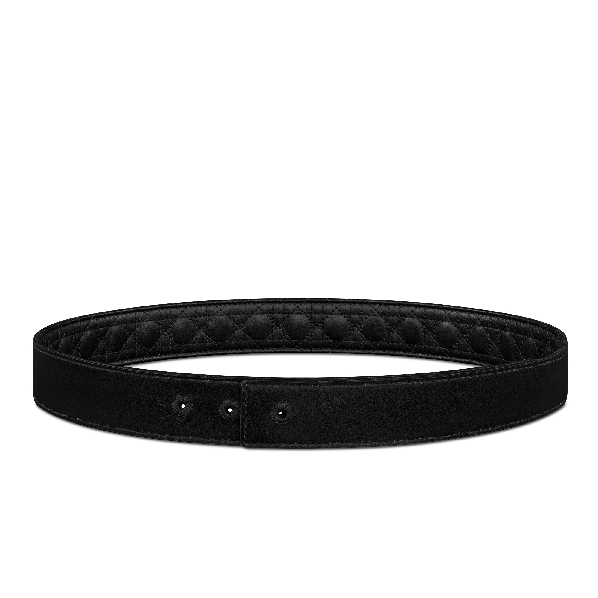 Reversible Belt Strap