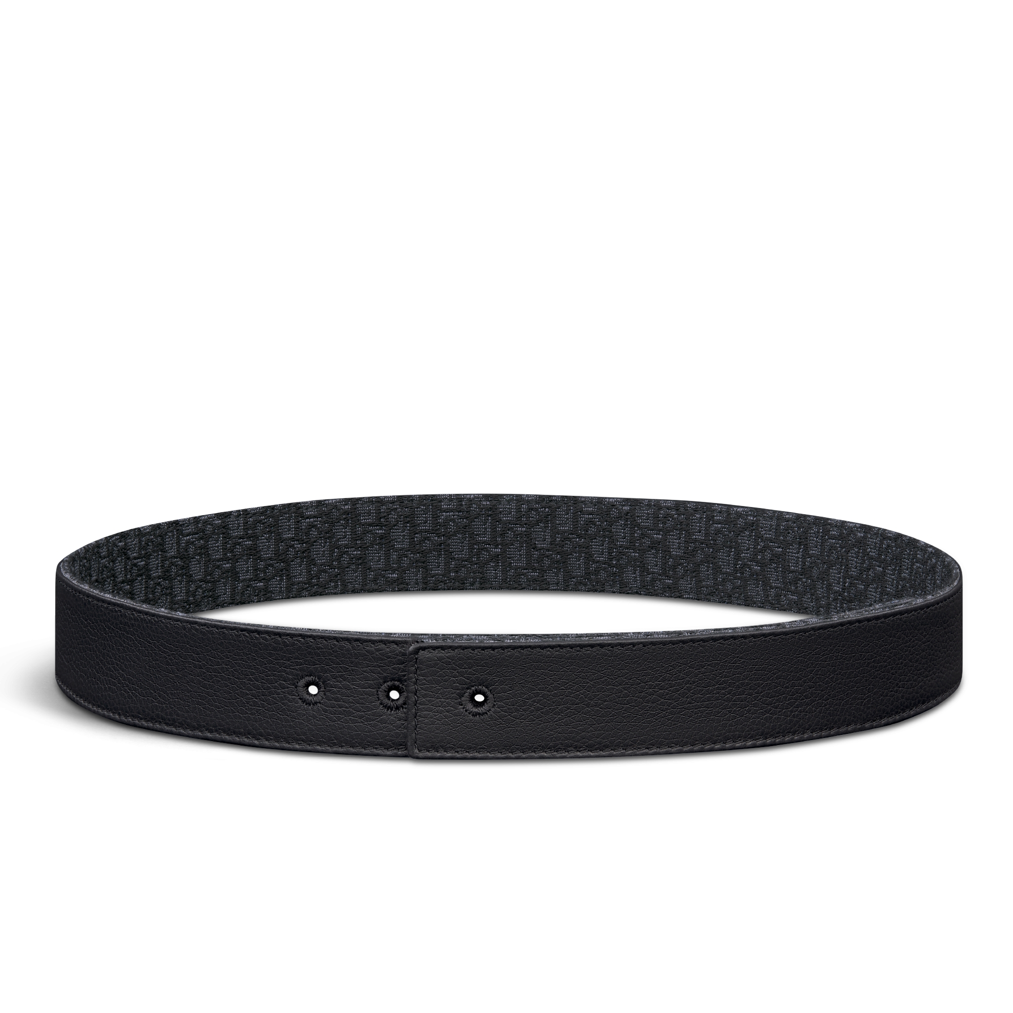 Reversible Belt Strap