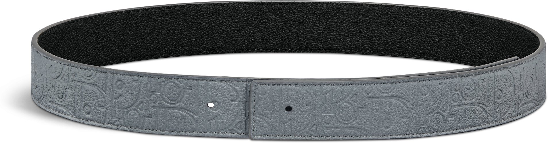 Reversible Belt Strap Front view Front view
