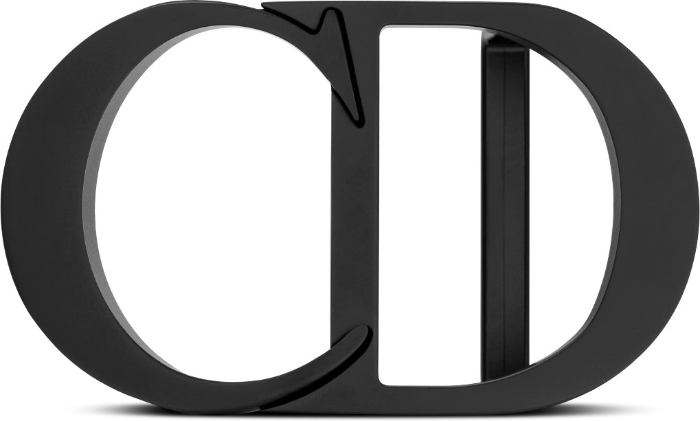 CD Icon Belt Buckle Front view