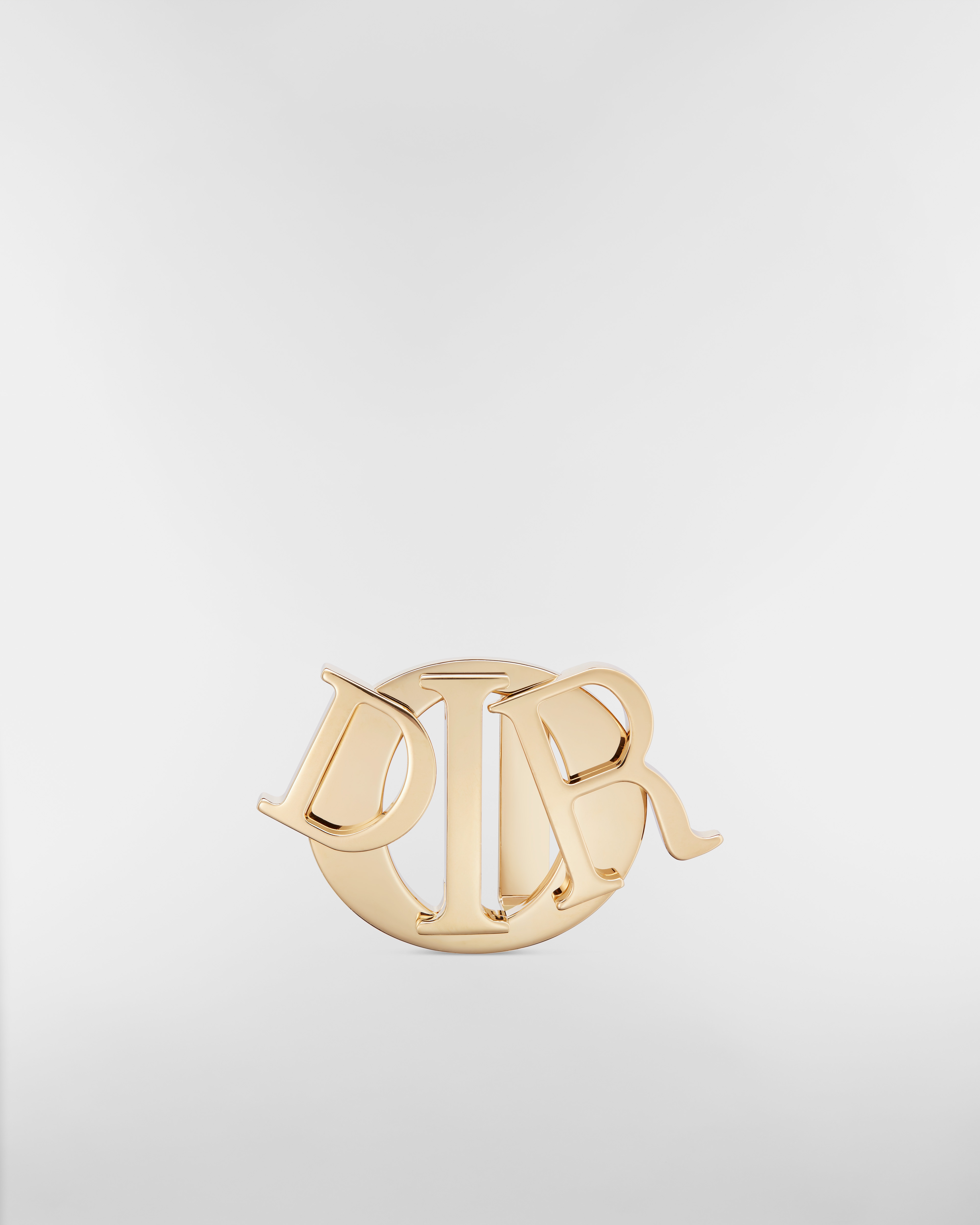 Dior Charm Belt Buckle