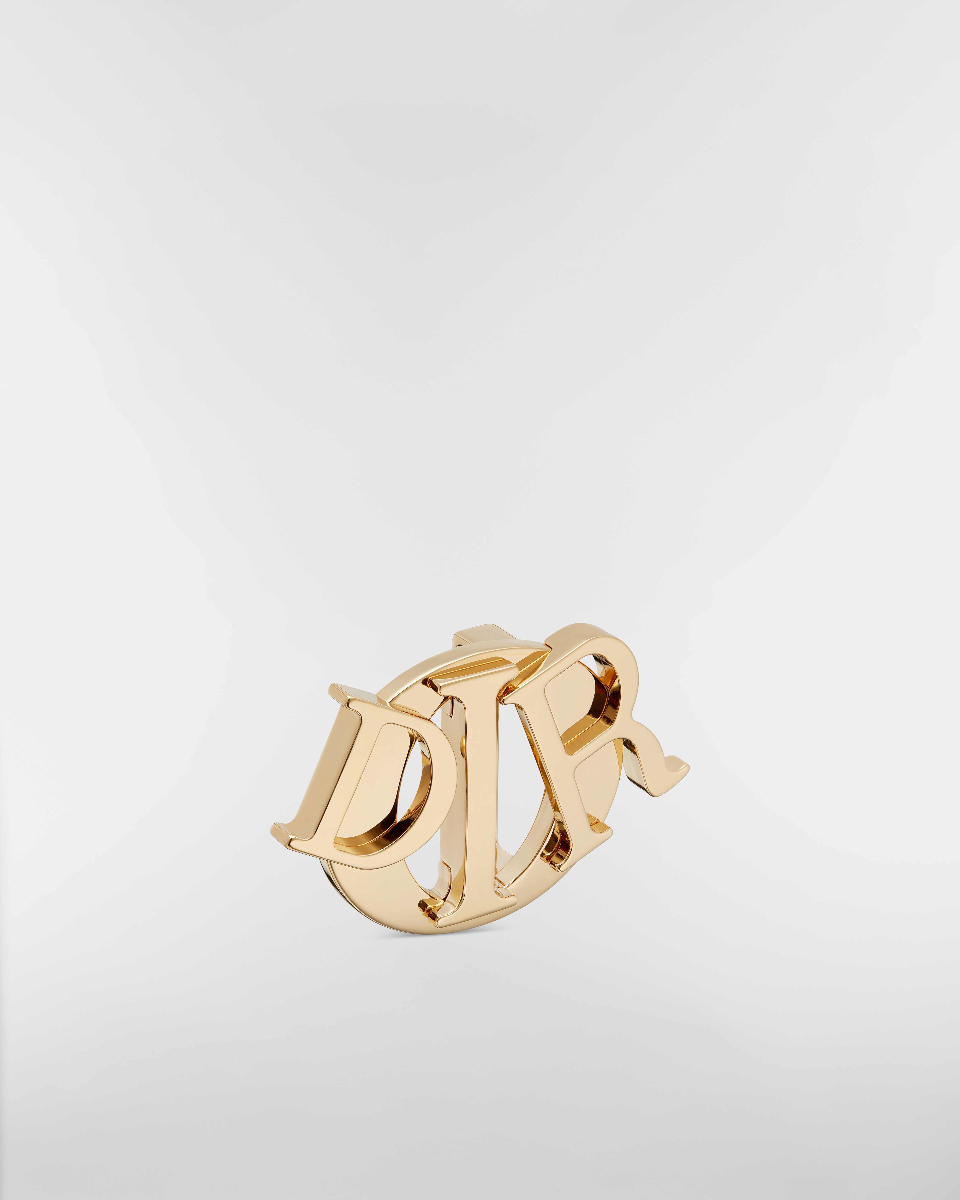 Dior Charm Belt Buckle