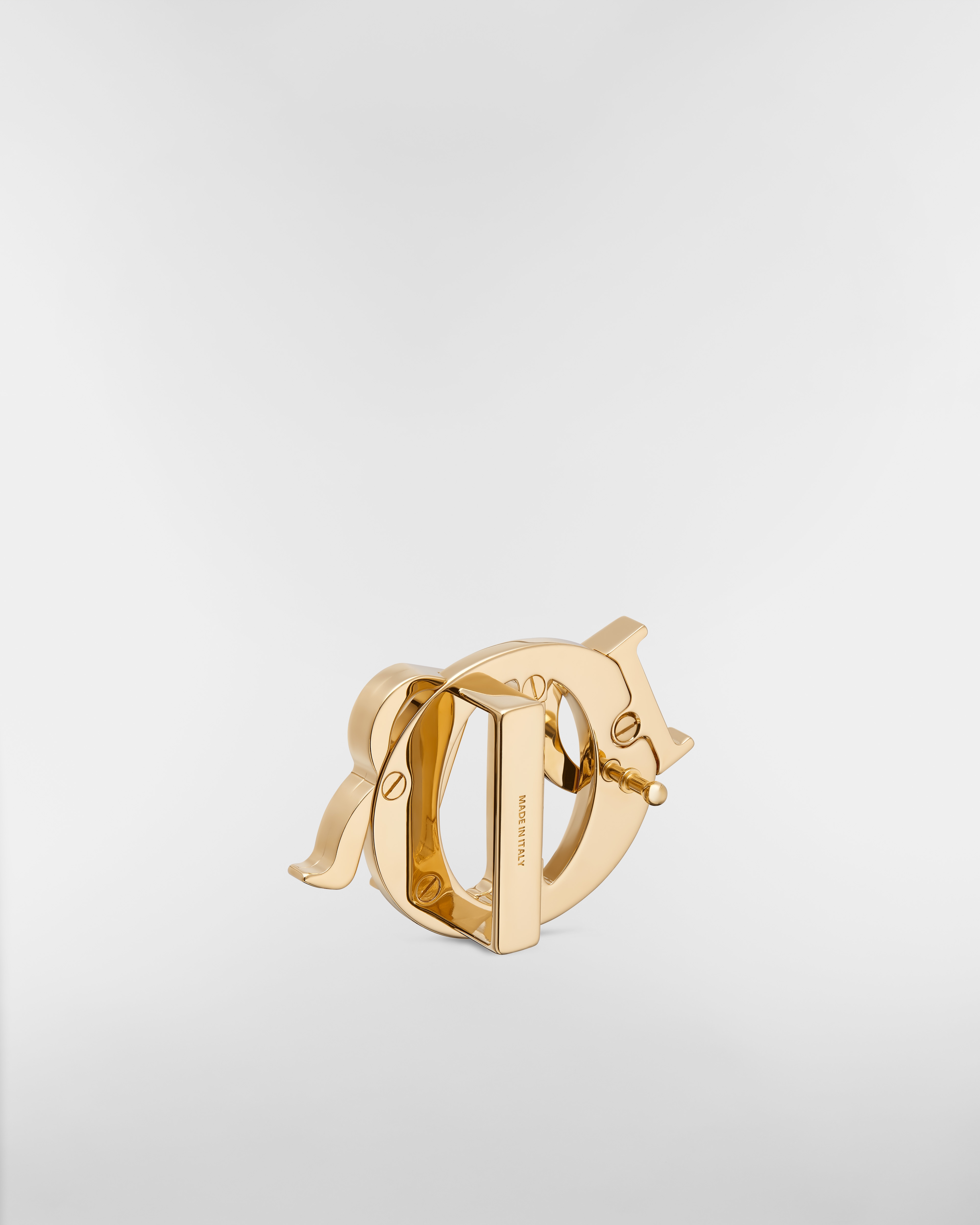 Dior Charm Belt Buckle