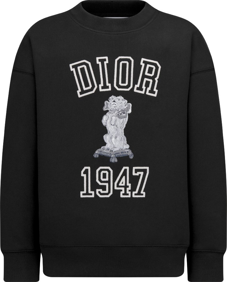 Felpa dior bambino online