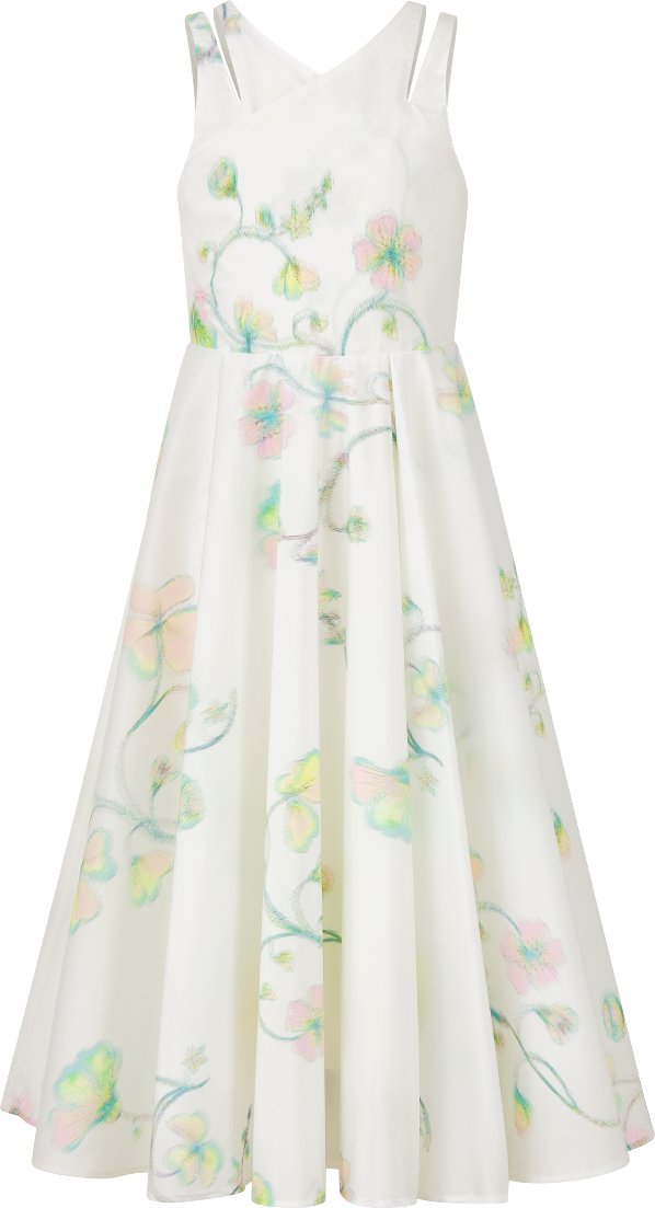Dior butterfly dress top