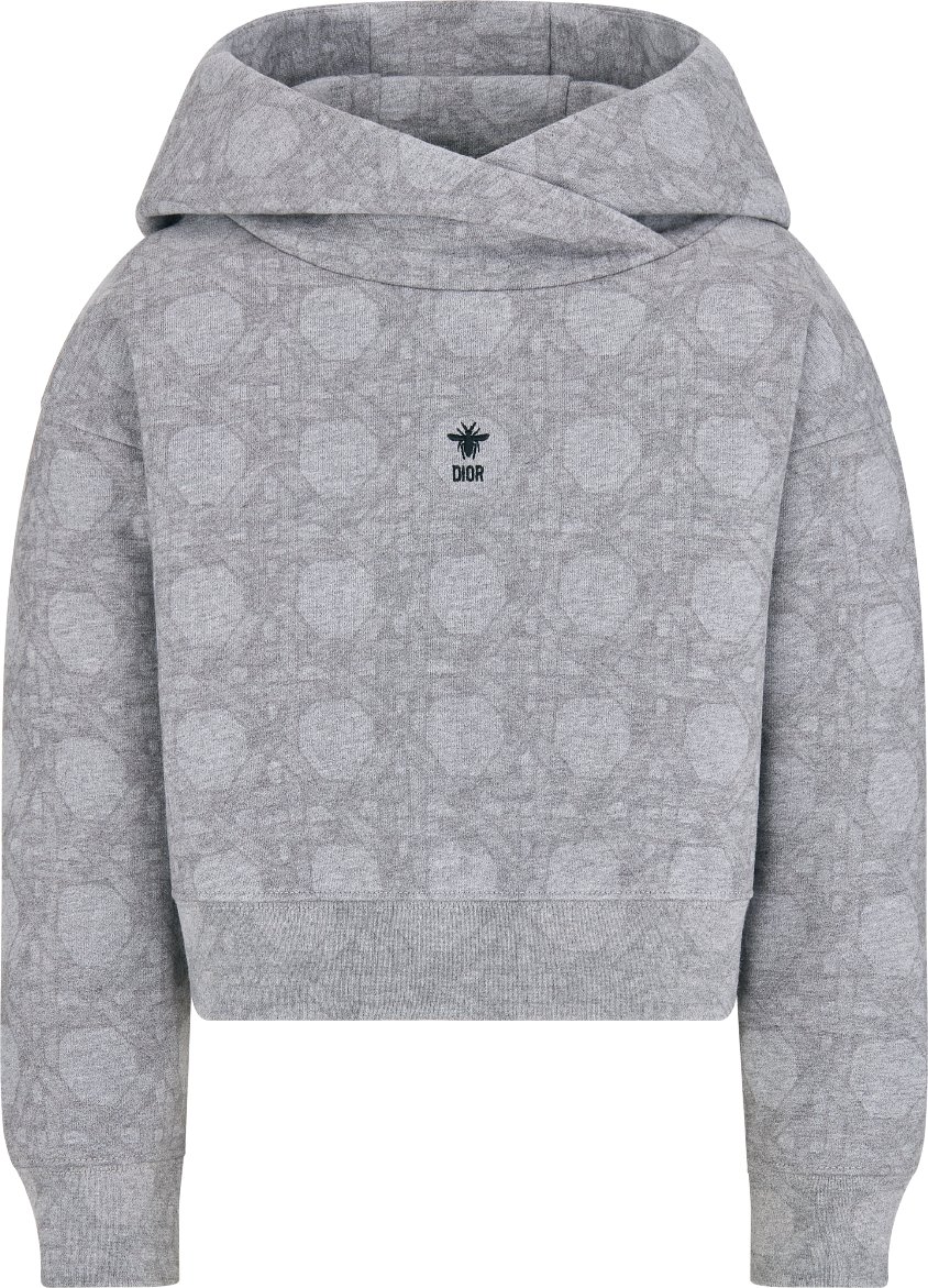 Dior print hoodie hotsell