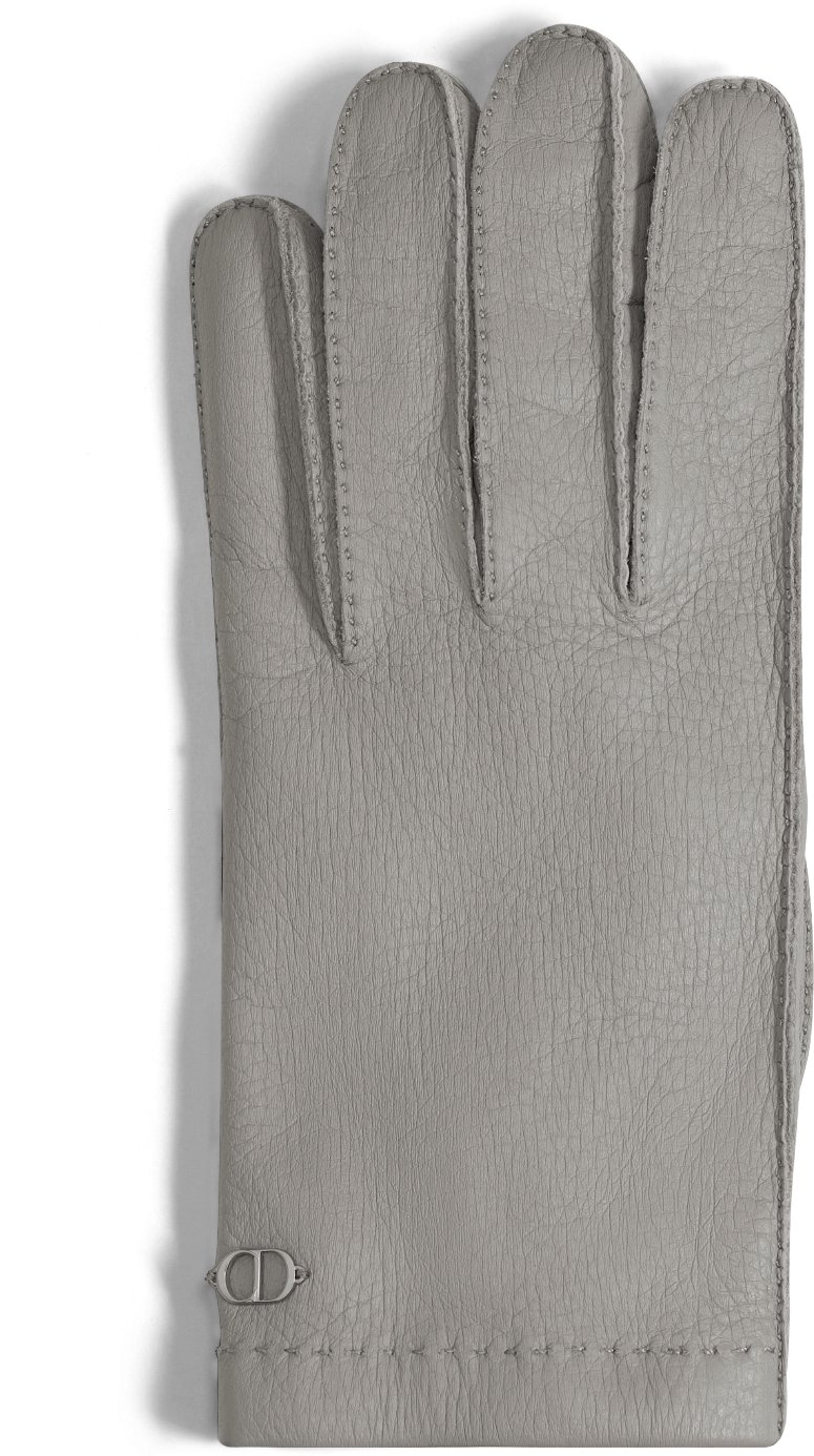 CD Icon Gloves Top shot view