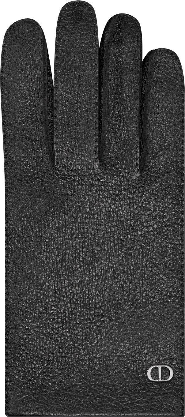 CD Icon Gloves Top shot view