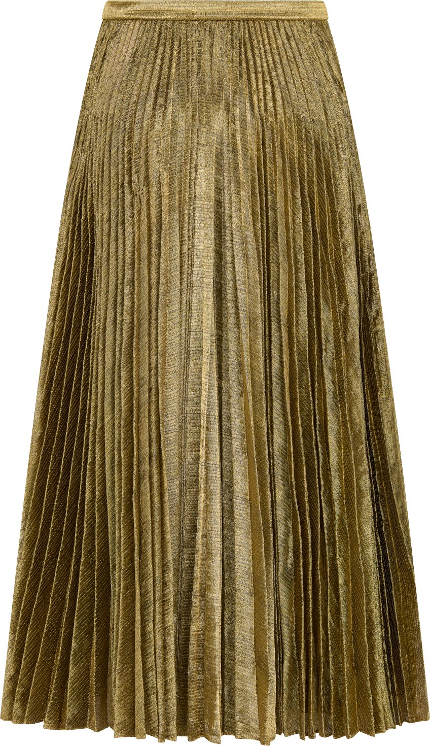 Dior Or Mid-Length Pleated Skirt Back view