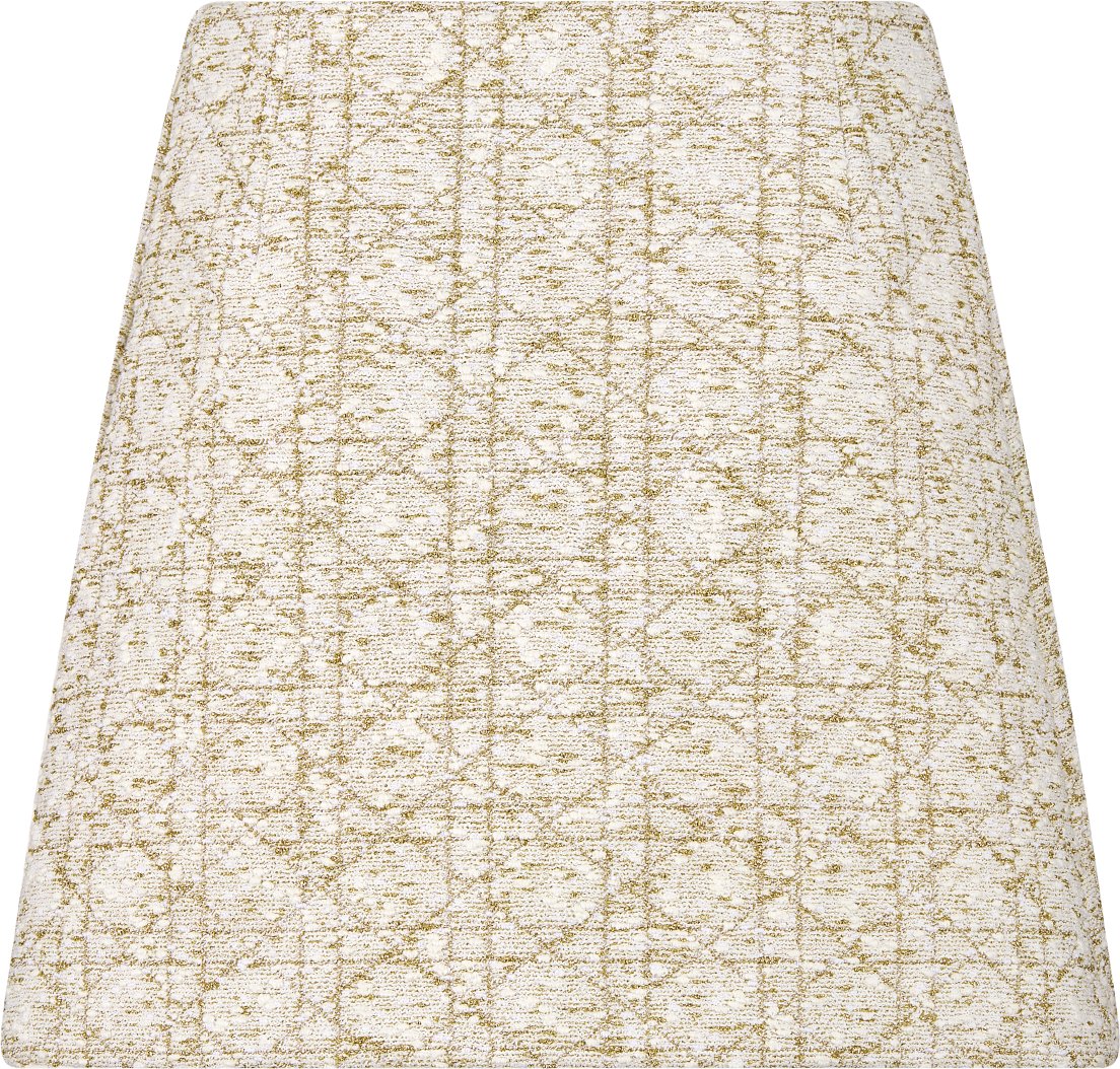 Dior Or Macrocannage Miniskirt Back view