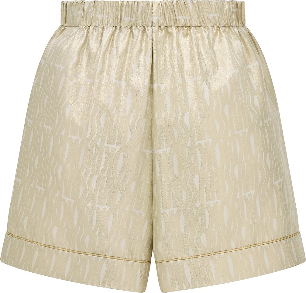 Dior Or Shorts Back view