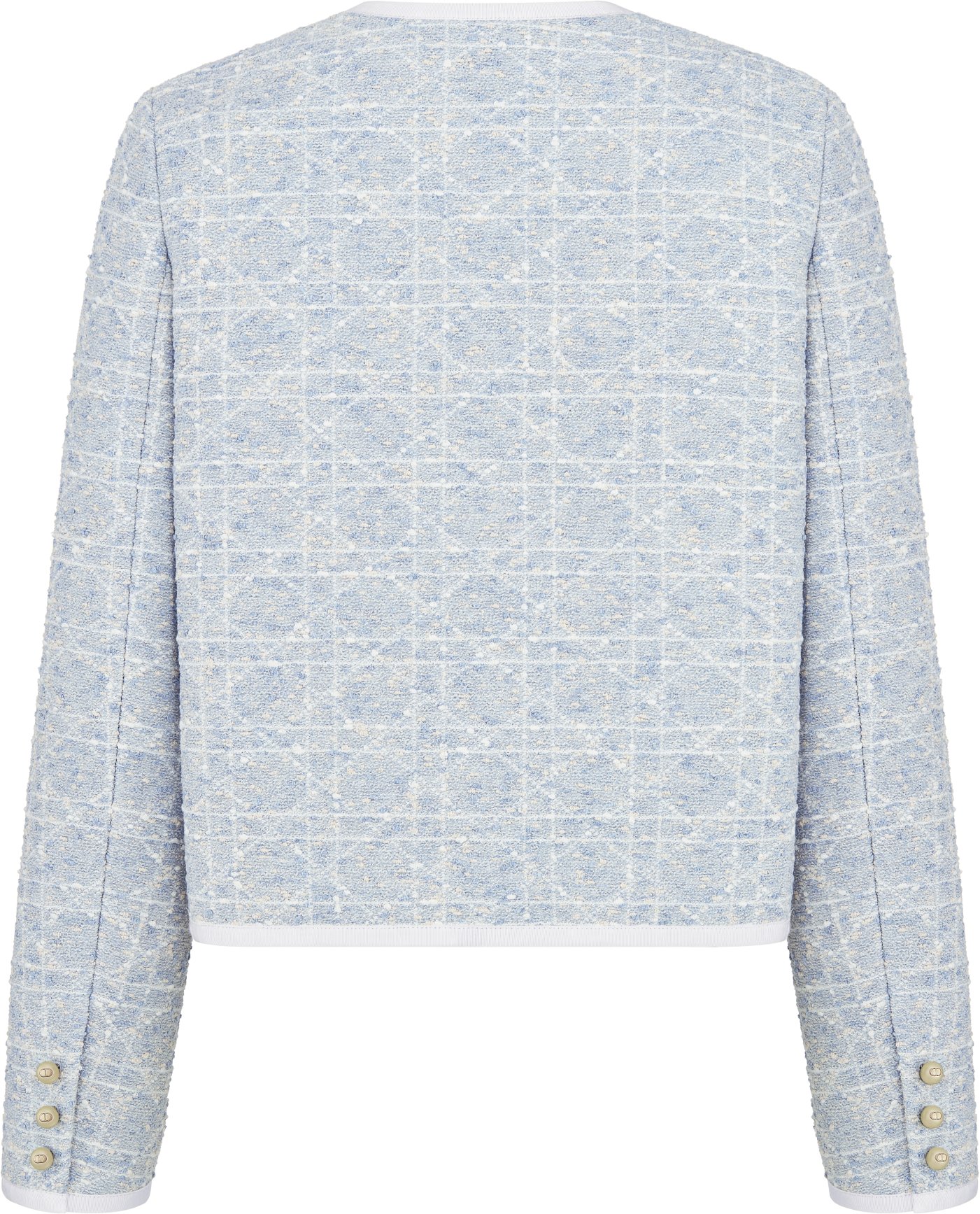 Macrocannage Cropped Jacket Back view