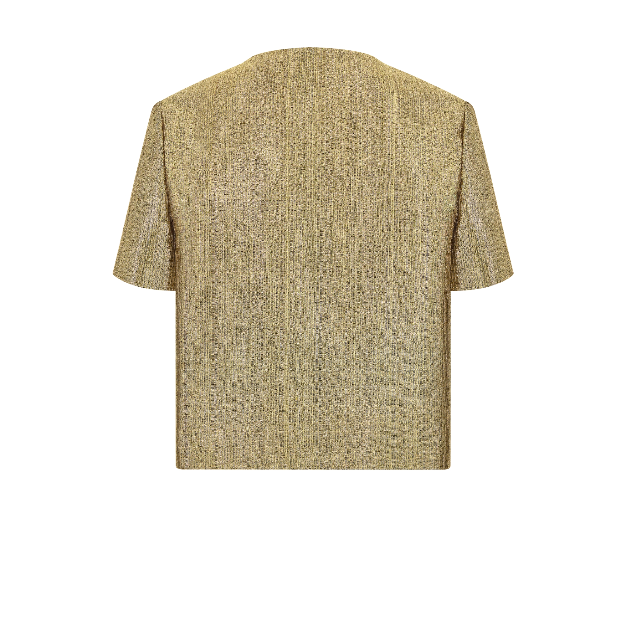 Dior Or Short-Sleeved Jacket Gold-Tone Technical Fabric E08