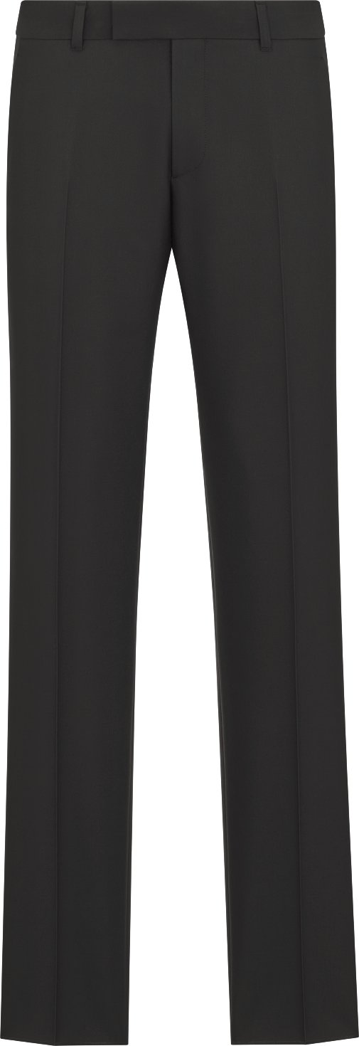 Dior Icons Chinos Front view