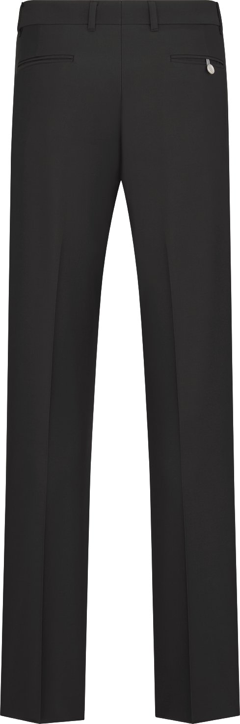Dior Icons Chinos Back view
