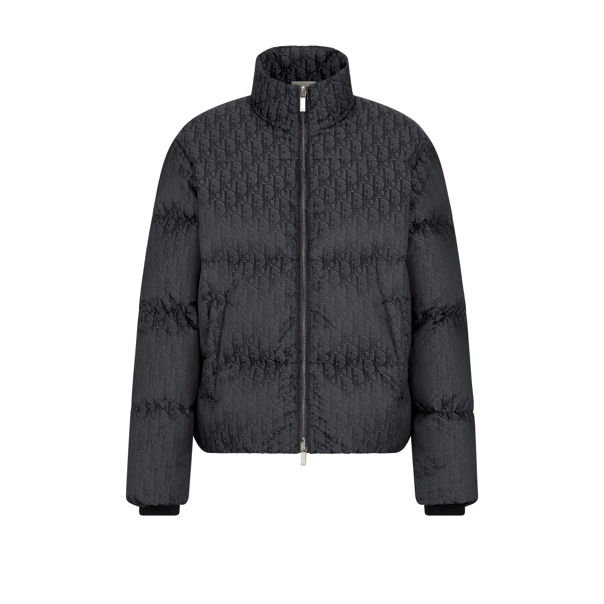 Dior Oblique Down Jacket