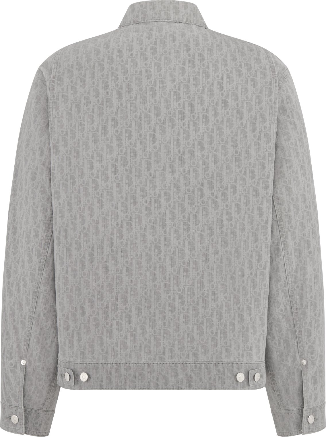 Dior Oblique Zipped Blouson Jacket Back view