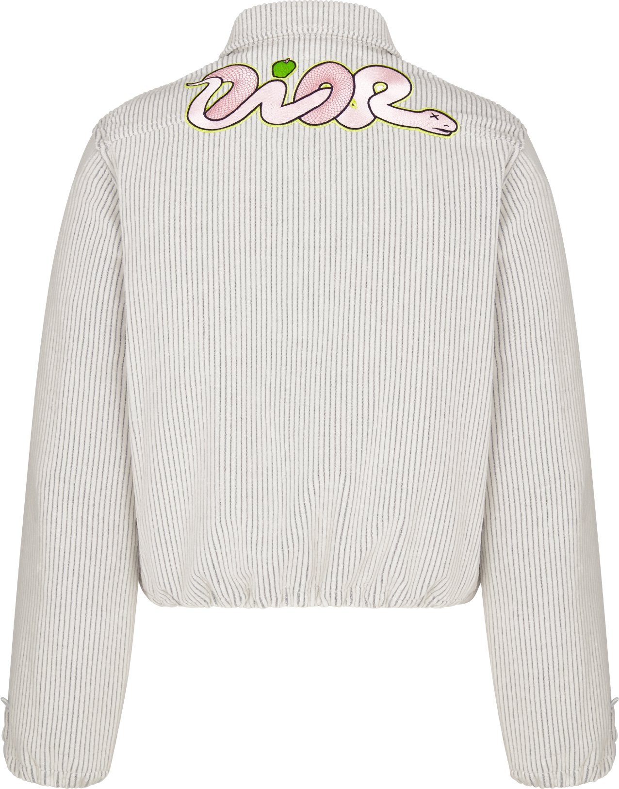 DIOR AND KAWS Zipped Blouson Jacket Back view