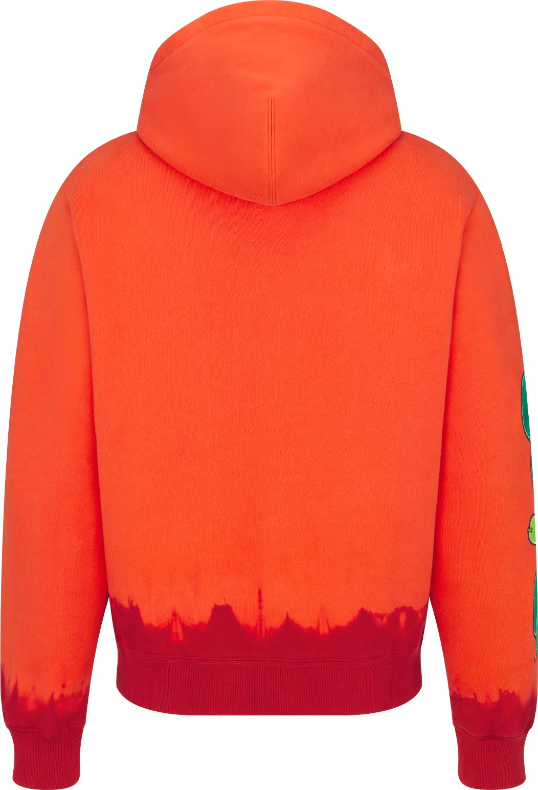 DIOR AND KAWS Hooded Sweatshirt Back view
