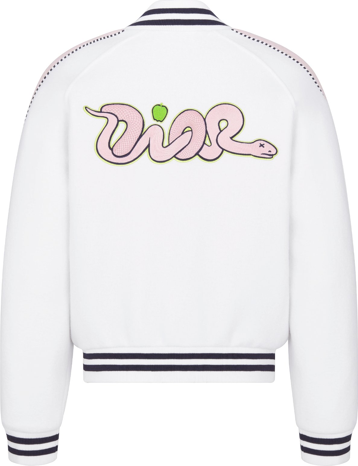 DIOR AND KAWS Varsity Jacket Back view