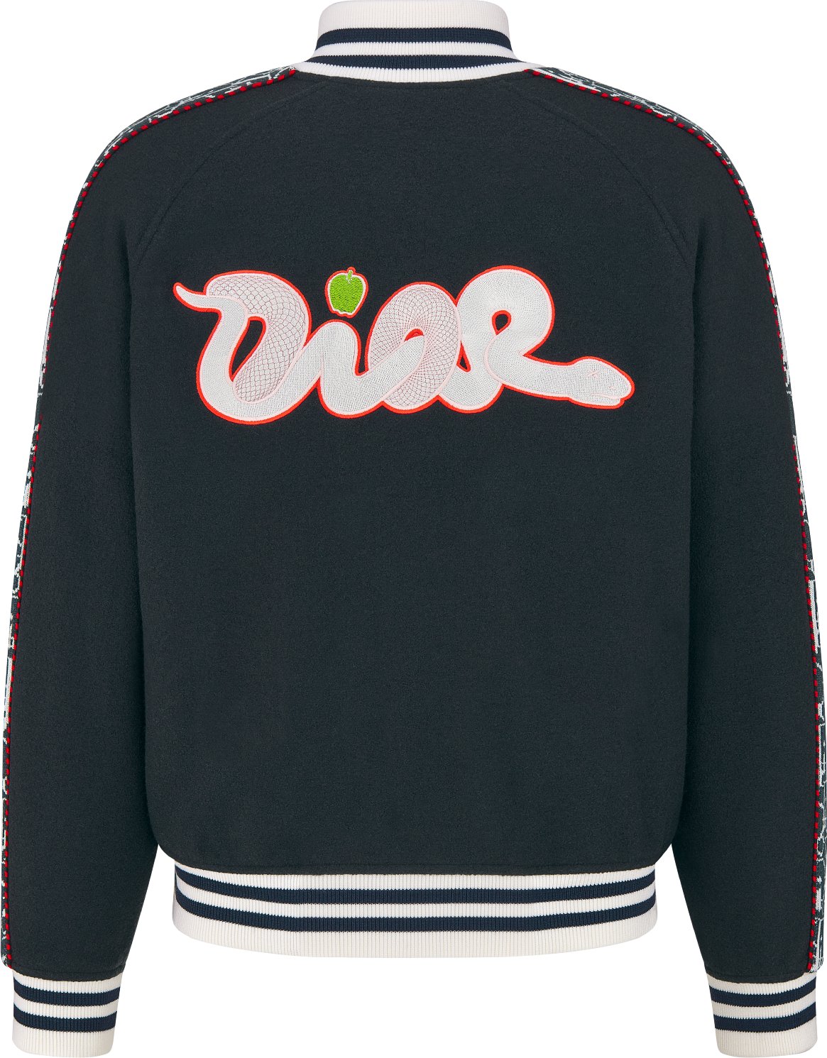 DIOR AND KAWS 棒球外套 aria_backView