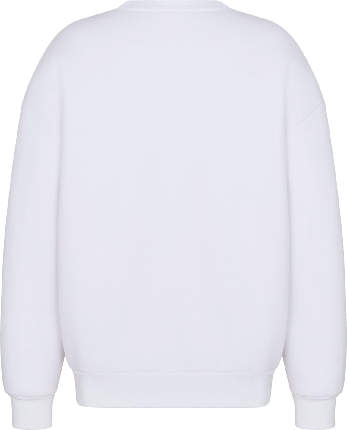 DIOR AND LEWIS HAMILTON 運動衛衣 aria_backView