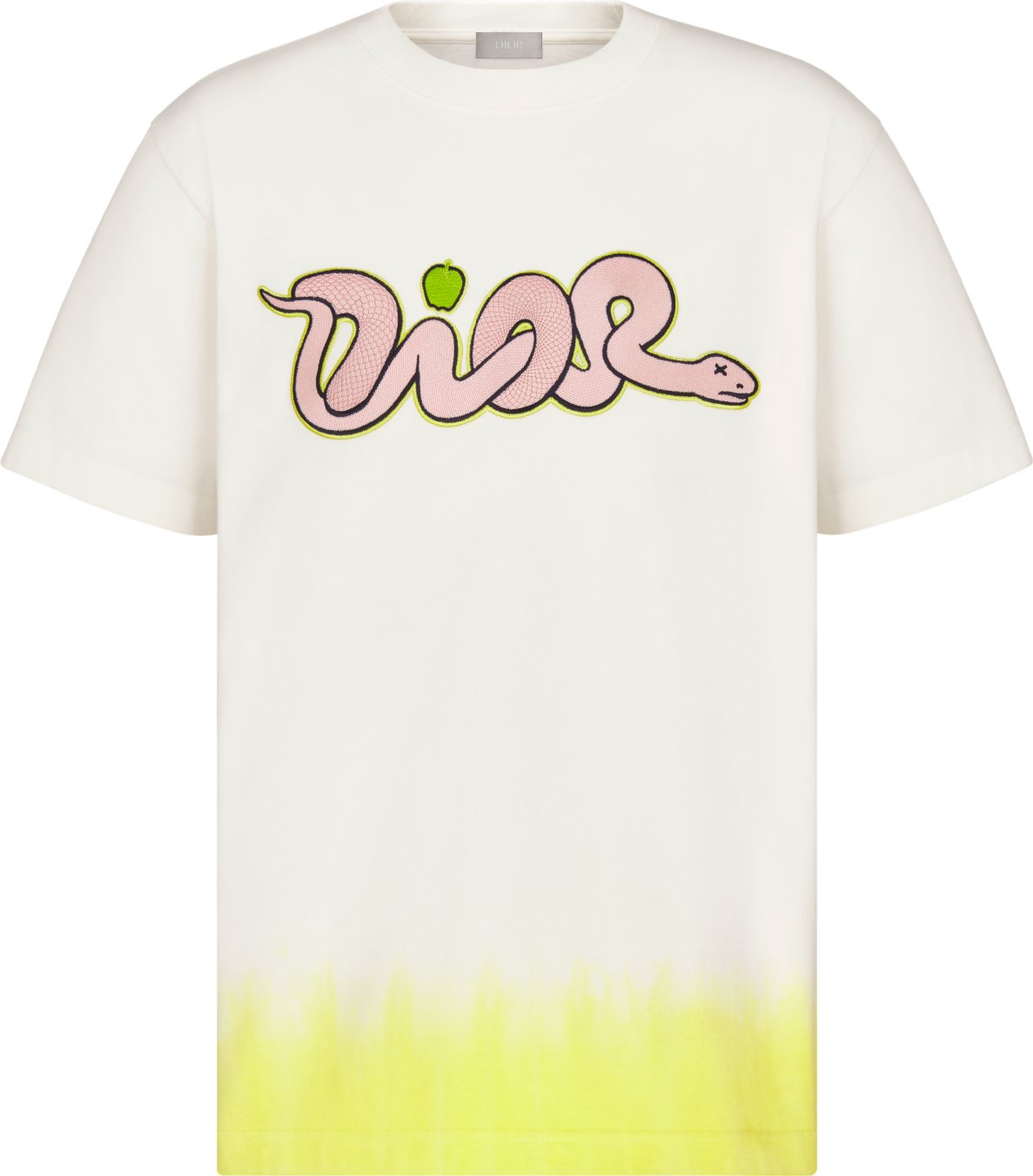 DIOR AND KAWS T-Shirt, Relaxed Fit Front view Front view